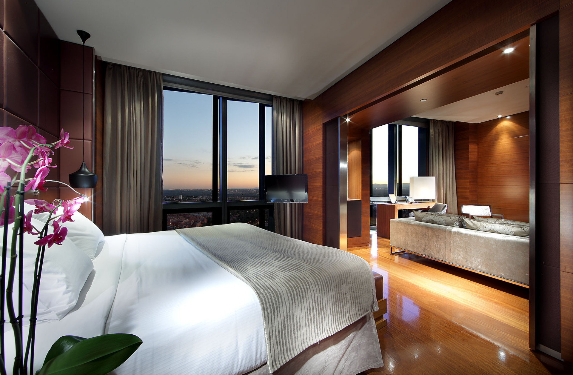 Junior Suite con sofá cama
