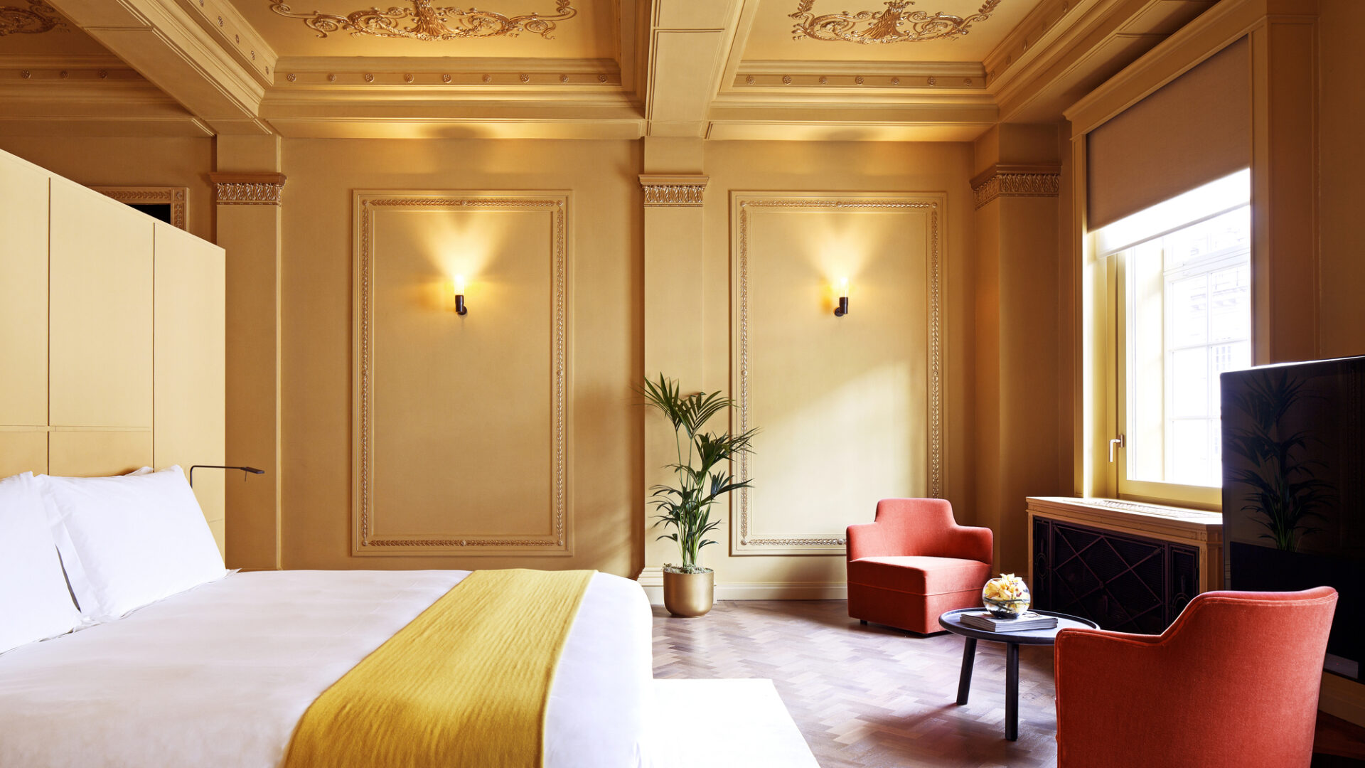 Suite Celestine