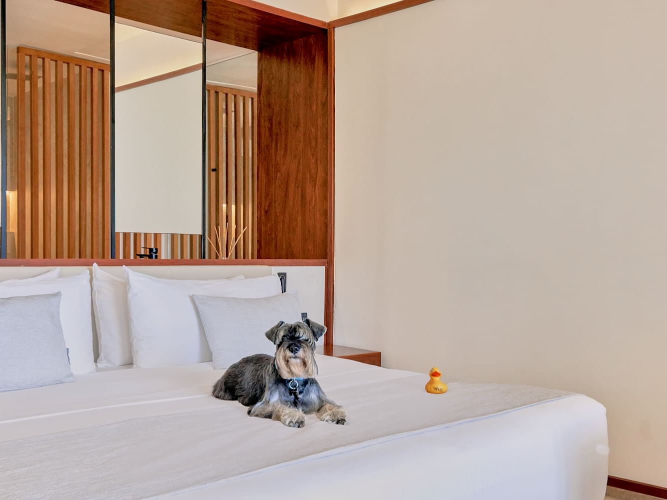 Junior Suite Deluxe Garden View