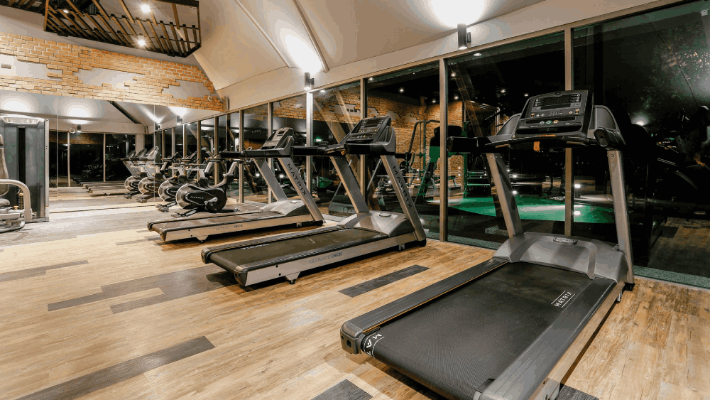 Gimnasio