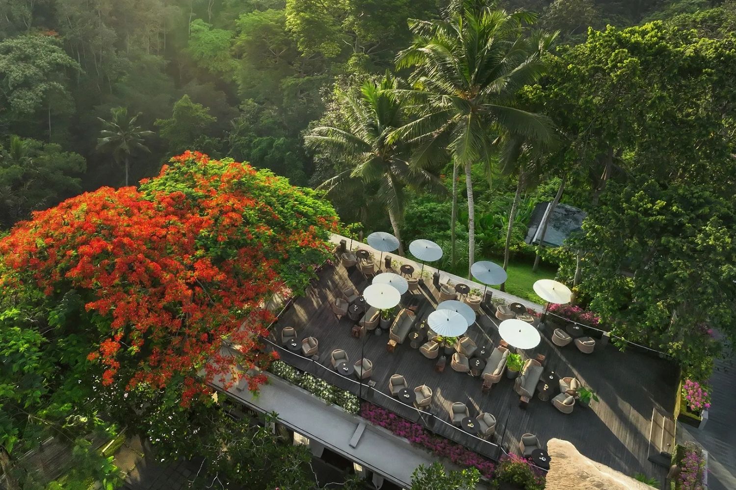Tree bar
