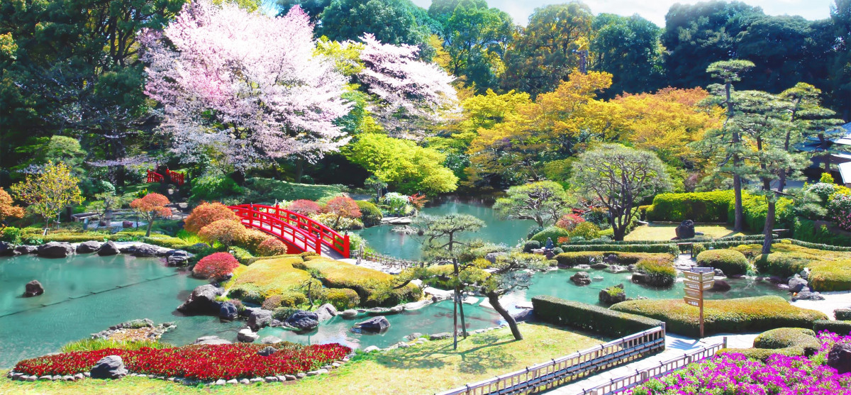 Japanese Garden