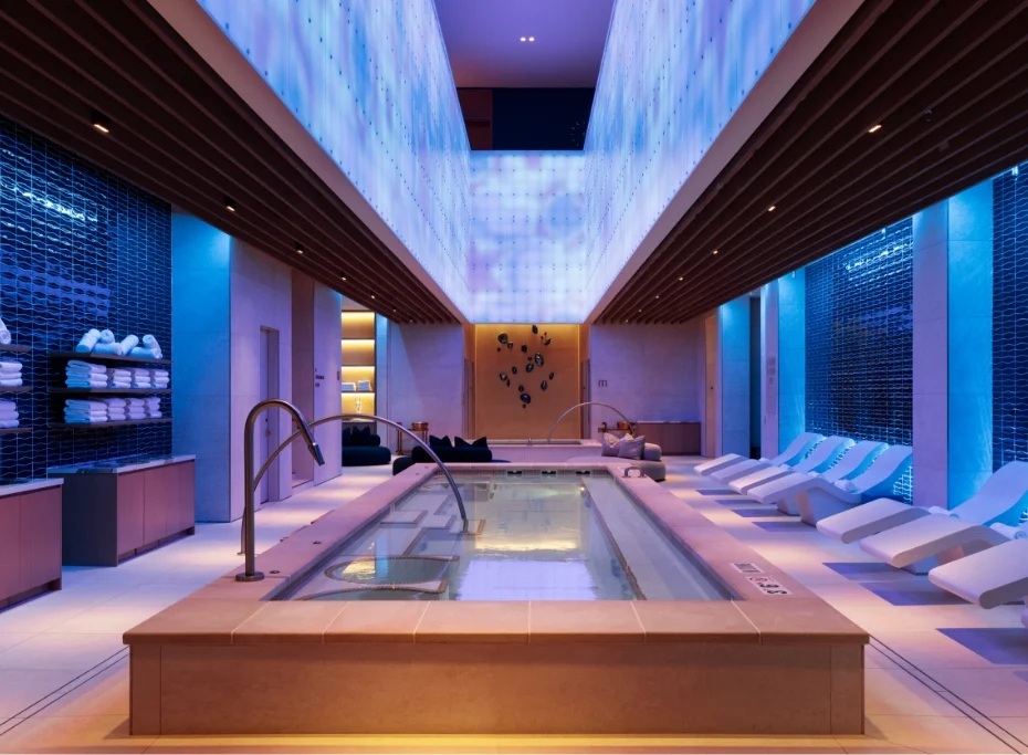 Wellness