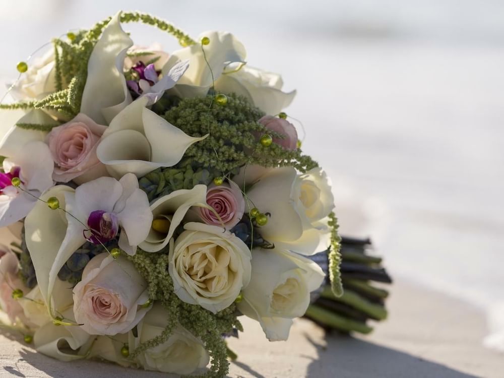 Bodas