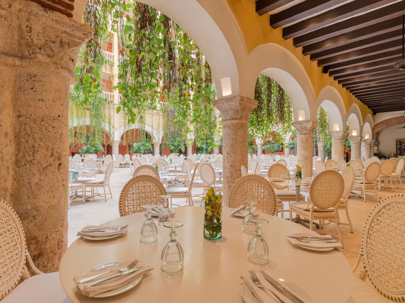 Harry's Cartagena