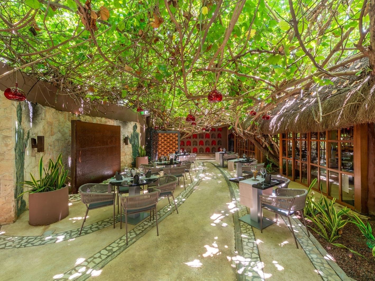Hidden Garden