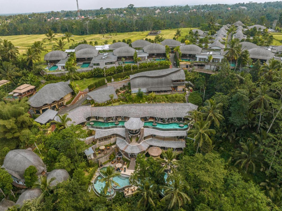 Kabana: Luxury Jungle Pool