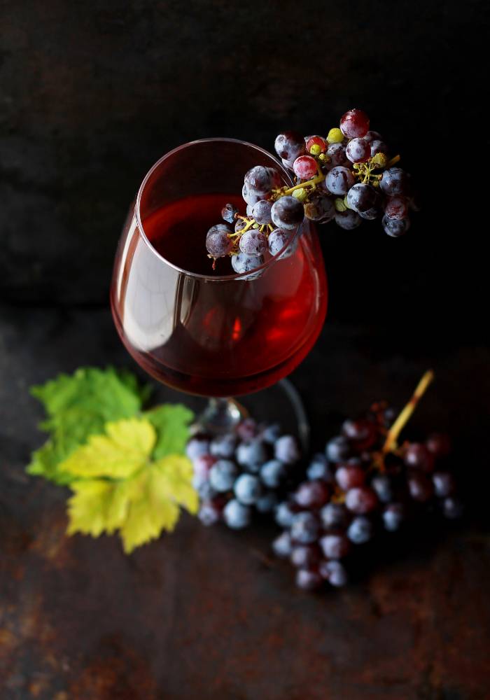 Mundo wine & oil terroir