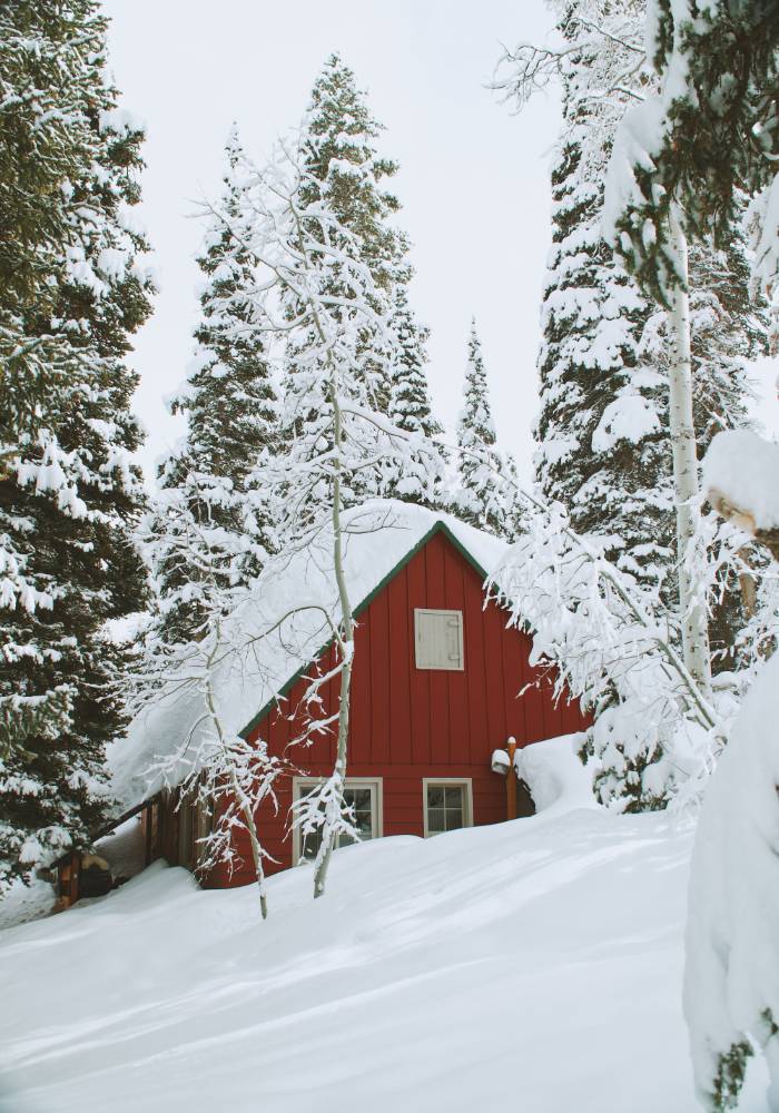 Winter in the mountain